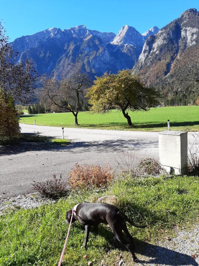Rulfik Aparthotel Hinterberg  Buitenkant foto